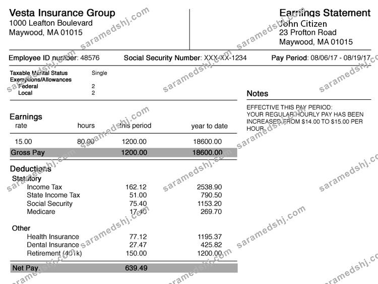 USA ALABAMA Vesta Insurance Group earning statement in Word and PDF formats